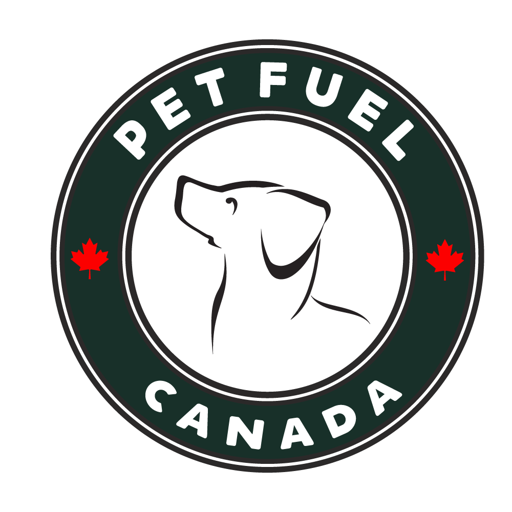 5 Unique Facts About Dogs You Never Knew - Pet Fuel Canada